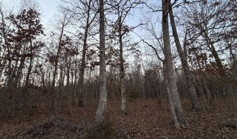 County Road 204, Alton, MO 65606