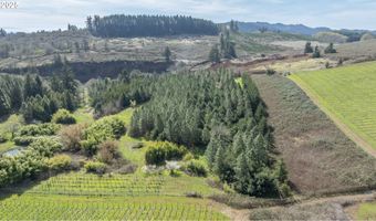 Three Trees Ln, Amity, OR 97101