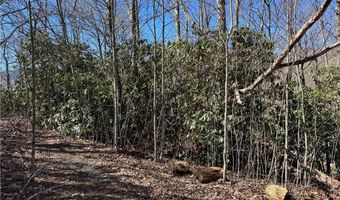 Lot # 70 Tall Tree Lane, Banner Elk, NC 28604