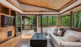 203 Eastwood Dr, Aspen, CO 81611