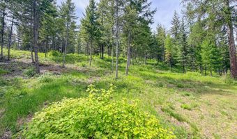 2015 THONI Rd, Addy, WA 99101