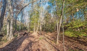 403 Wood Trce, Ball Ground, GA 30107