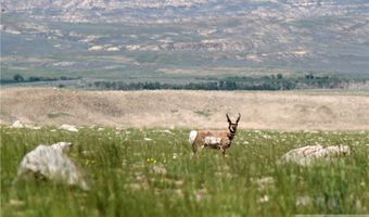 NHN Ruby Creek Road lot Bvr 946-18, Belfry, MT 59008