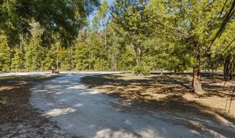 6389 6th Pl, Bell, FL 32619