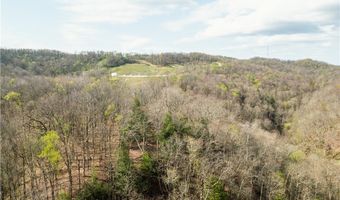E Captina Highway Road, Alledonia, OH 43902