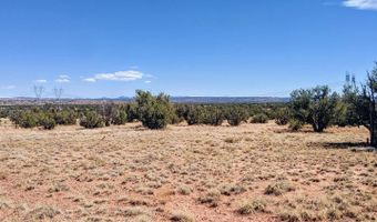 Lot 44 Ranch Of The White Mountains N9119, Concho, AZ 85924