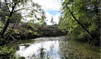 NW LODGE Rd, Banks, OR 97106