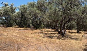 2804 S Grade Rd, Alpine, CA 91901