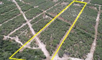 179 County Road 1461 Lot 9, Alice, TX 78332
