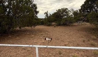 35 County Road 3044, Concho, AZ 85924