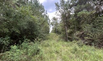3951 MS-42, Bassfield, MS 39421