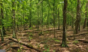 144 U.S Highway 341 S, Barnesville, GA 30204