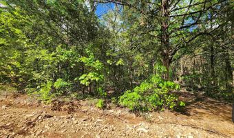 Strawberry Valley Road, Ash Flat, AR 72513
