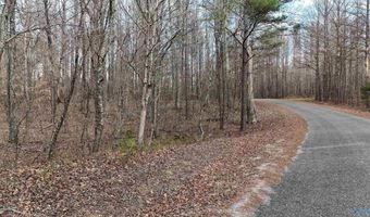 002 Toney Dr, Altoona, AL 35952