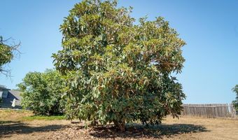 1139 Big Oak Ranch Rd, Fallbrook, CA 92028