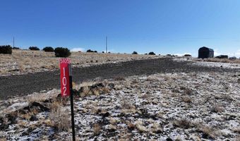 102 County Road 5105, Concho, AZ 85924