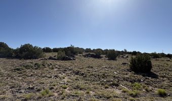 Lot 49 Windsor valley Ranch Drive, Concho, AZ 85924