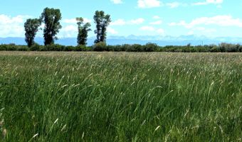 COTTONWOOD-MERNA 23-116, Daniel, WY 83115