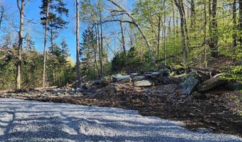 00 E Hill Rd, Andover, VT 05143
