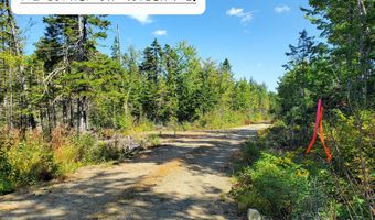 W McMann & Porcupine Hill Road lot 3, Addison, ME 04606