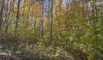 0 Mexico St, Albion, NY 13302