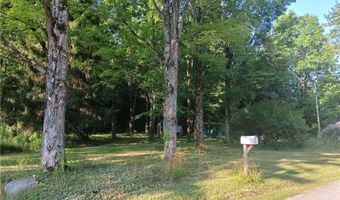 6168 Twitchell Rd, Andover, OH 44003