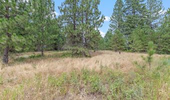 NKA E Forest View Rd, Athol, ID 83801