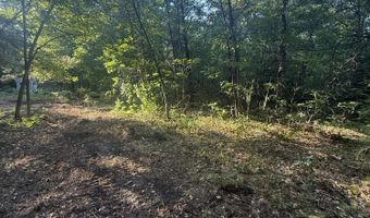 Michael Drive, Alger, MI 48610