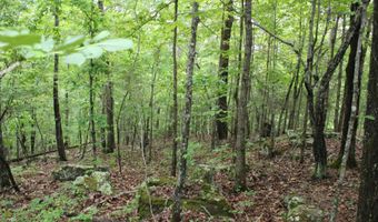 E Mountain Road, Bee Branch, AR 72013