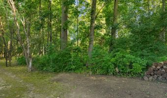 5220 Canyon River Dr NE, Ada, MI 49301