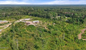 135 Sawmill Rd, Braxton, MS 39044