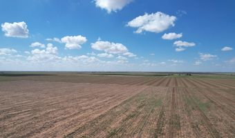 Shepard St, Abernathy, TX 79311