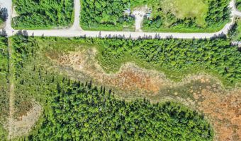 15742 W Huskie Dr, Big Lake, AK 99652