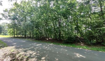 3347 Mountain View Ln, Baneberry, TN 37890