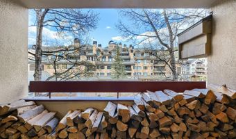 1280 Village Rd 305, Beaver Creek, CO 81620