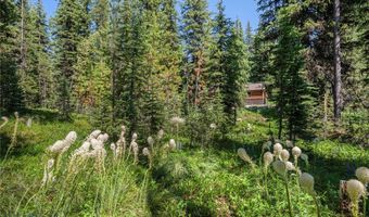 441 Red Lion Rd, Anaconda, MT 59711