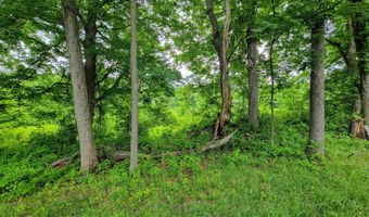 399 Bard Rd, Bennington, VT 05201