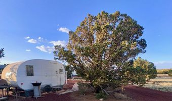 47 County Road 8306, Concho, AZ 85924