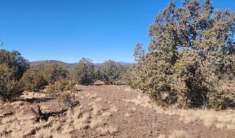 2113 W Skyline Dr, Ash Fork, AZ 86320