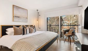 205 E Durant Ave Unit 1G, Aspen, CO 81611
