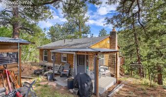 226 Hall Rd, Bailey, CO 80421