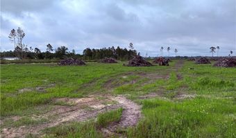 9 219 Ac Rhine Alma GA Rd, Alma, GA 31510