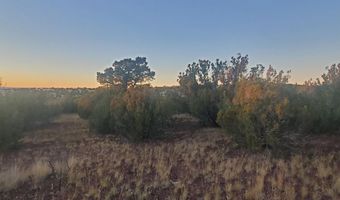 1 COUNTY ROAD N8155, Concho, AZ 85924