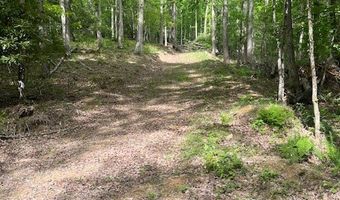 Tbd Brookstone Rd, Bastian, VA 24314