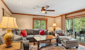 940 Waters Ave 209, Aspen, CO 81611