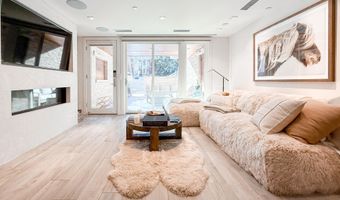 100 E Cooper Ave 4, Aspen, CO 81611