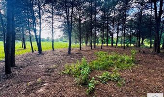 0 Obie Rd, Axton, VA 24054