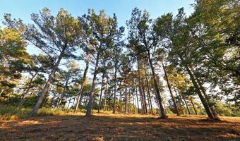 0000 Mountain View Way, Bainbridge, GA 39819