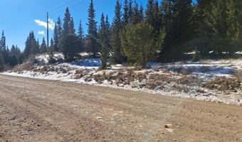 3553 RIVER Dr, Alma, CO 80420