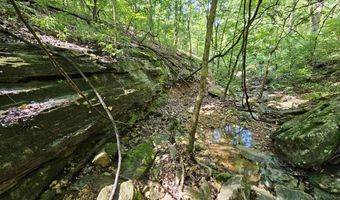 65 Acres Plainview Rd, Anderson, MO 64831